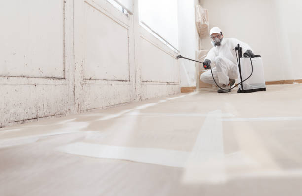 24/7 Emergency Mold Removal experts in Hermitage, TN