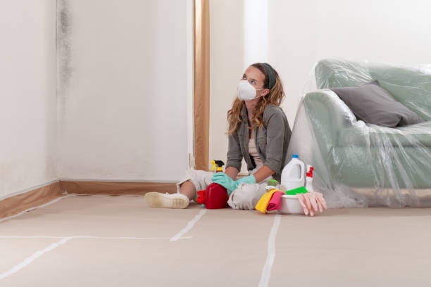 Reliable Mold Removal contractor in Hermitage, TN by WQB Mold Removal